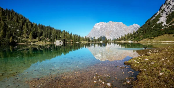 Malebné Jezero Seebensee Turistická Destinace Ehrwald Zugspitze Horský Odraz Vodě — Stock fotografie