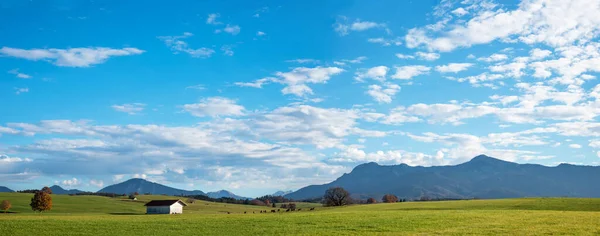 Venkovská Krajina Zelenými Pastvinami Výhledy Alpy Mraky Nebe Horní Bavorsko — Stock fotografie