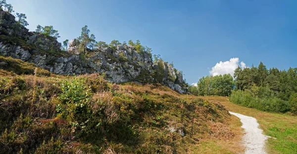 Wanderweg Rund Den Großen Pfahlriegel Bei Viechtach Ausflugsziel Landschaft Niederbayern — Stockfoto
