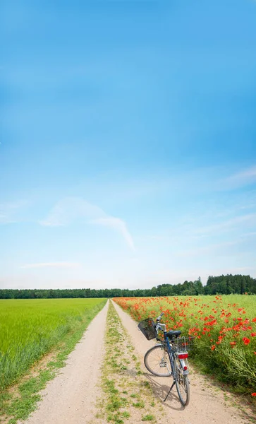 Bike Field Lane Poppy Grain Fields Blue Sky Lots Space — Stock Photo, Image