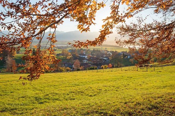 Destino Idílico Villag Rural Ajudando Ramos Faia Com Folhas Outonais — Fotografia de Stock