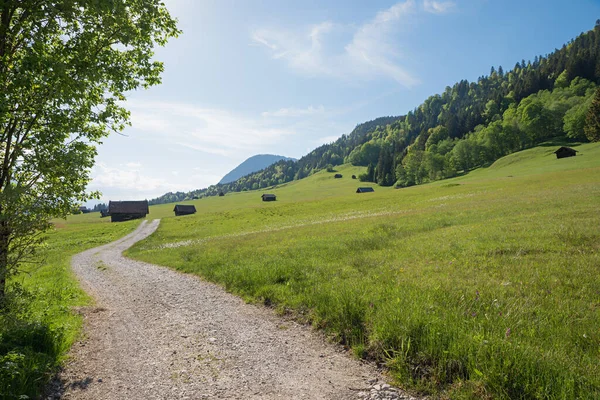 Idyllischer Wanderweg Bei Gerold Alpine Landschaft Mit Hütten Und Almen — Stockfoto