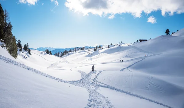Vintrig Gångväg Vid Snöiga Rofan Alperna Sträck Med Några Vandrare — Stockfoto