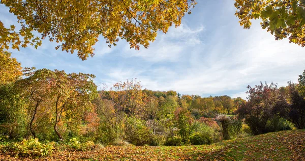 Hermoso Parque Ciudad Otoño Westpark Munich Con Árboles Hojas Colores —  Fotos de Stock