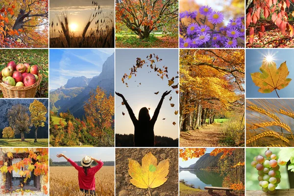 Collage - herbstliche Impressionen — Stockfoto