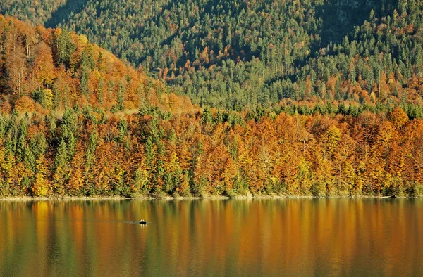 Sonbahar ağaçlar gölde yansıtan, — Stok fotoğraf