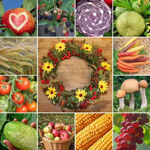 Collage - frutas y verduras —  Fotos de Stock