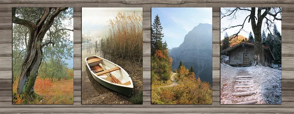 Collage - vier seizoenen op houten plank achtergrond - ik — Stockfoto