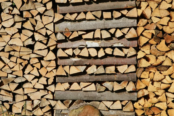 Troncos de madeira de faia empilhados — Fotografia de Stock