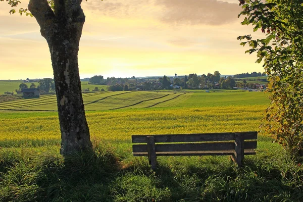 田舎では、日没の風景休憩ベンチ — ストック写真