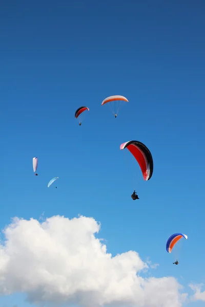 Sekelompok paraglider di langit — Stok Foto