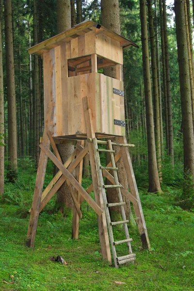 Jäger sitzen im Wald — Stockfoto