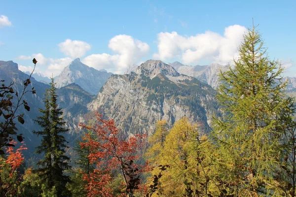 Vista otoñal a los Alpes de Karwendel — Foto de Stock