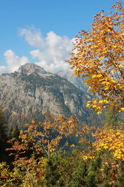 Karwendel in herbstlicher Landschaft — Stockfoto