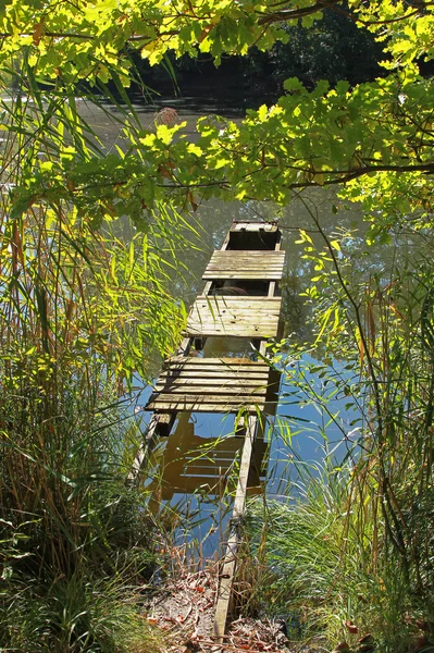 Régi boardwalk nyugodt tó — Stock Fotó