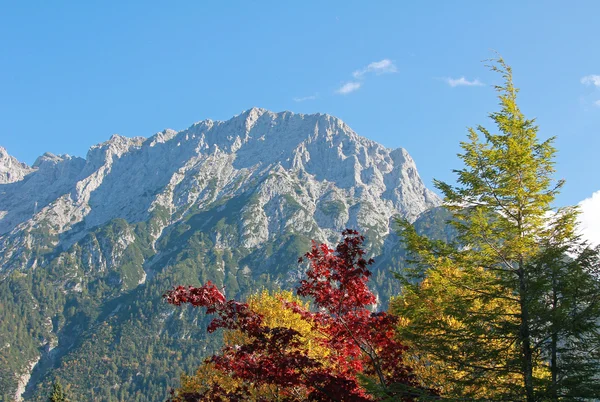 Karwendel massief en herfst bomen — Stockfoto