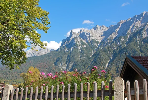 Rural garden and view to karwendel mountains — Stock Photo, Image