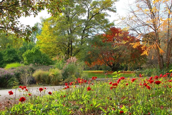 Schöner herbstlicher Park mit Blumenbeet — Stockfoto