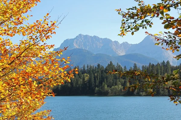 Alpine lake barmsee, weergave door beuken bladeren — Stockfoto