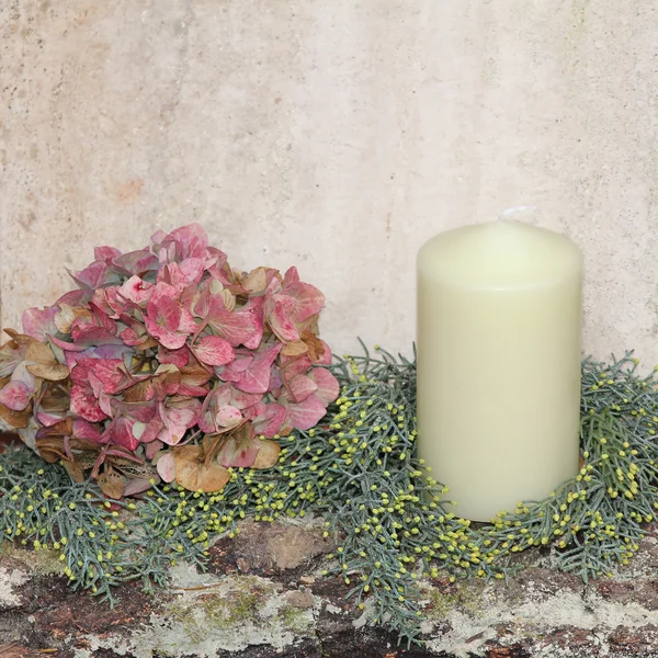 Rustic homemade christmas decoration with hydrangea and candle — Stock Photo, Image