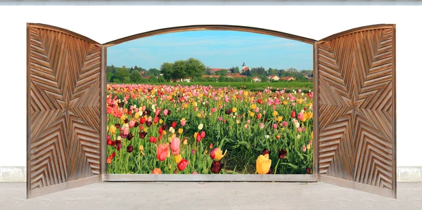 Porta doppia in legno intagliato, paesaggio primaverile — Foto Stock