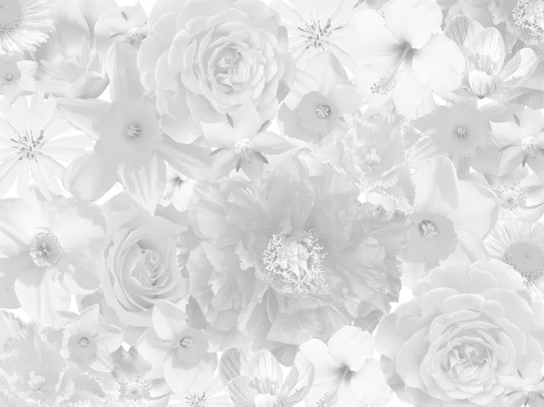 Fundo de luto floral — Fotografia de Stock
