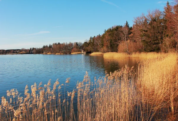 Idyllic lake shore seehamer see in autumn — Stock Photo, Image