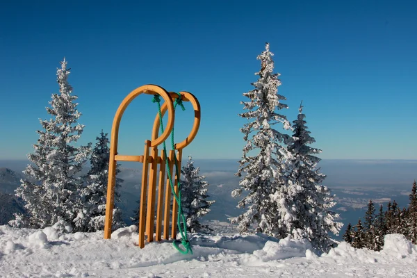 Sled met lange hoorn vormige lopers in winterlandschap — Stockfoto