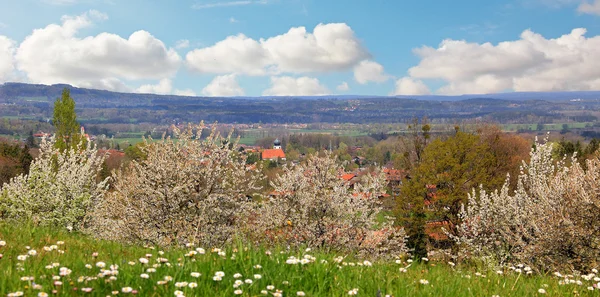 Rural springtime landscape bavarian foothills — Stock Photo, Image