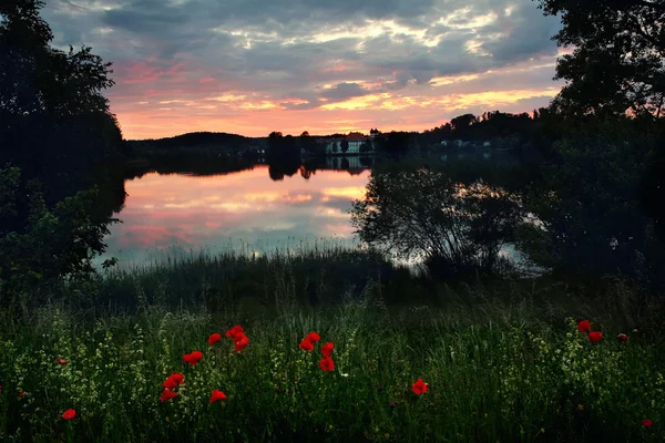 Sunset at lake seeon, lake shore with red poppies — Stock Photo, Image