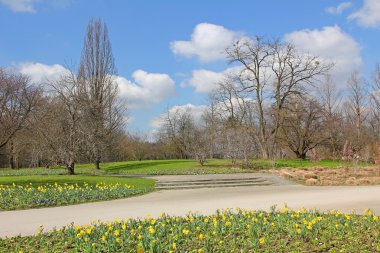 Nergis flowerbed ile Şehir Parkı