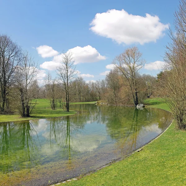 Ruhige Parklandschaft mit spiegelnden Bäumen im Teich — Stockfoto