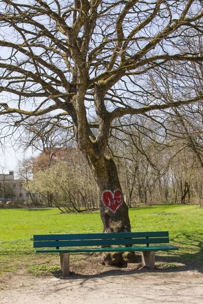 Tree in the park with valentine heart, bench — Stock Photo, Image