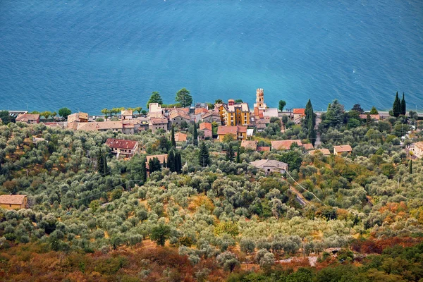 Köy pai, garda Gölü kıyısında, olive grove — Stok fotoğraf