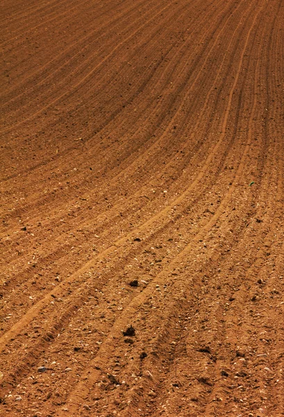 Brown soil background — Stock Photo, Image