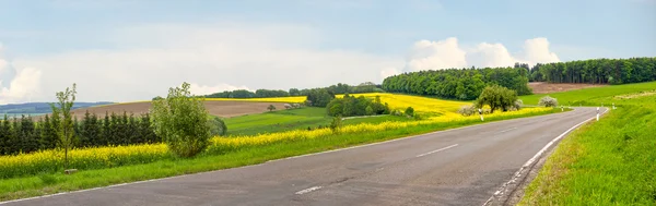 Country road through hilly landscape and blooming rape fields — Stock Photo, Image