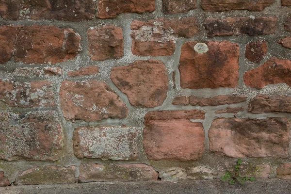 Nahaufnahme einer grunzigen Ziegelmauer — Stockfoto