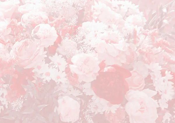 Floral φόντο σχεδιασμό με paeony και μαργαρίτες — Φωτογραφία Αρχείου