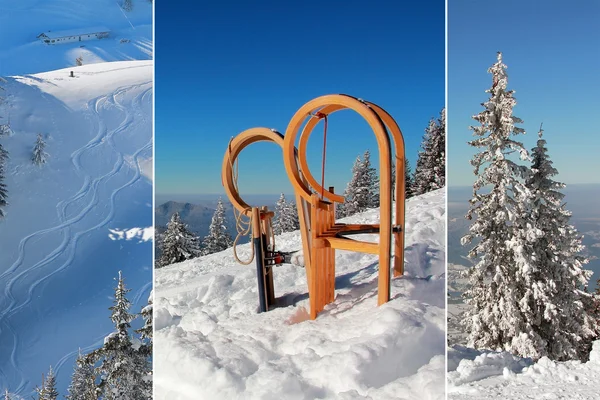 Collage - trineos de cuerno largo y pistas de esquí —  Fotos de Stock