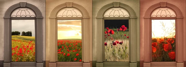 Hintergrunddesign in weichen Brauntönen, roter Mohn — Stockfoto