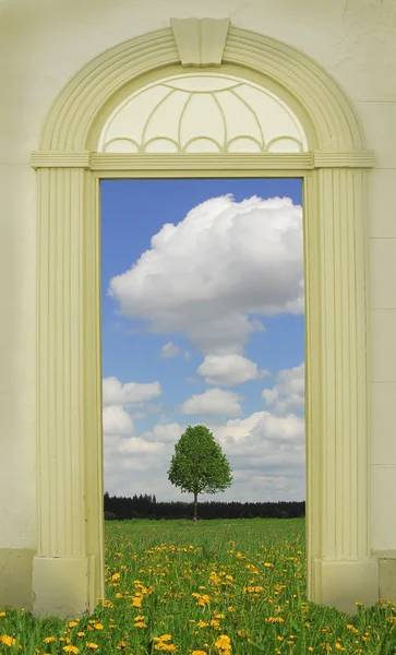 Blick durch gewölbte Tür, Löwenzahnwiese — Stockfoto