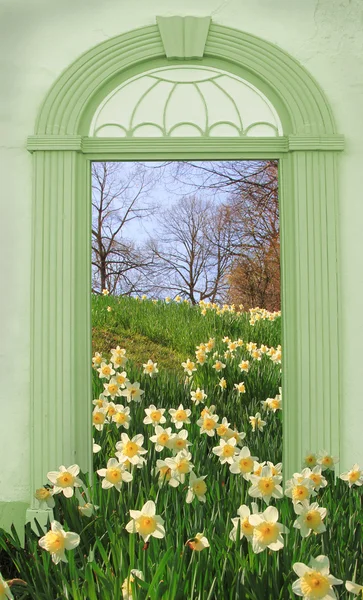 Kijk door de gewelfde deur, heuvel met wilde narcis — Stockfoto