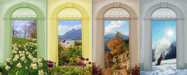 collage four seasons - narcissus, summerflowers, autumn in the m