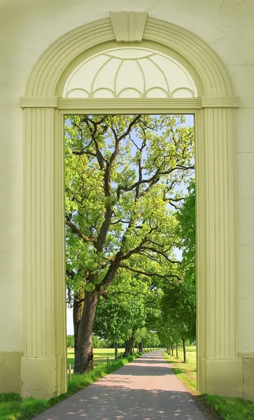 View through arched door, oak tree alley — Φωτογραφία Αρχείου