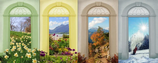 Collage quatre saisons - narcisse, fleurs d'été, automne dans le m — Photo