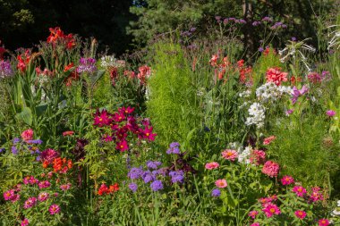 çiçekler bir flowerbed parkında çeşitli