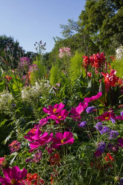 Värikäs kesä kukkapenkki puistossa — kuvapankkivalokuva
