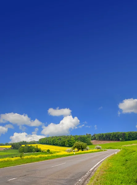 Загородная дорога через поле канолы и голубое небо — стоковое фото