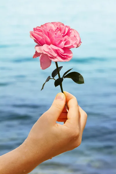 Chica con rosa rosa y fondo de agua — Foto de Stock