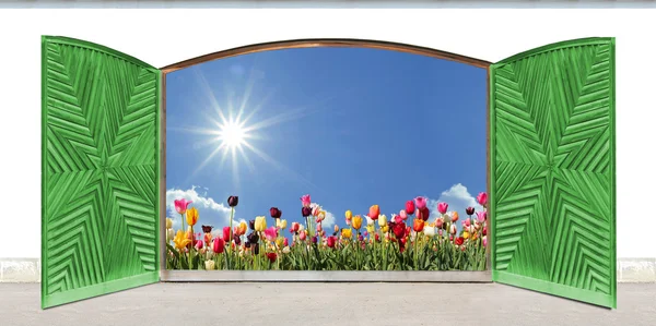 Holzdoppeltür mit geschnitztem Muster, Blick auf Tulpenfeld — Stockfoto